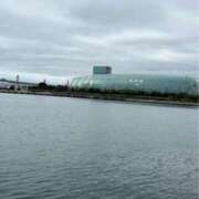 ヒメ日記 2025/10/21 07:59 投稿 なごみ 逢って30秒で即尺