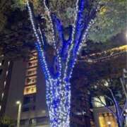 ヒメ日記 2025/11/13 20:13 投稿 なごみ 逢って30秒で即尺