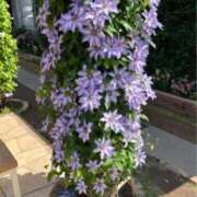 ヒメ日記 2025/12/10 21:24 投稿 なごみ 逢って30秒で即尺