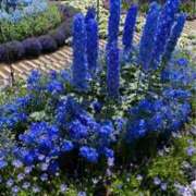 ヒメ日記 2025/12/11 23:32 投稿 なごみ 逢って30秒で即尺