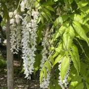 ヒメ日記 2026/02/19 22:17 投稿 なごみ 逢って30秒で即尺