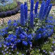 ヒメ日記 2026/02/20 12:33 投稿 なごみ 逢って30秒で即尺