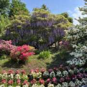 ヒメ日記 2026/02/20 21:05 投稿 なごみ 逢って30秒で即尺