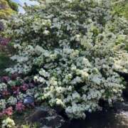 ヒメ日記 2026/02/21 00:17 投稿 なごみ 逢って30秒で即尺