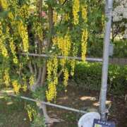 ヒメ日記 2026/03/12 22:29 投稿 なごみ 逢って30秒で即尺