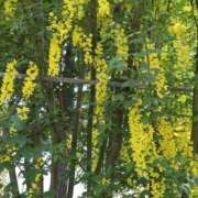 ヒメ日記 2026/04/15 21:49 投稿 なごみ 逢って30秒で即尺