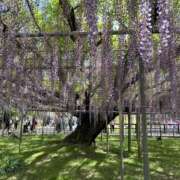 ヒメ日記 2026/04/16 22:31 投稿 なごみ 逢って30秒で即尺