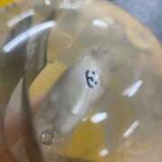 ヒメ日記 2025/06/12 12:36 投稿 ひなた 秋葉原コスプレ学園(AKG)