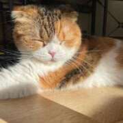 ヒメ日記 2025/06/17 12:25 投稿 ひなた 秋葉原コスプレ学園(AKG)