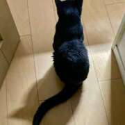 ヒメ日記 2025/07/03 15:51 投稿 ひなた 秋葉原コスプレ学園(AKG)