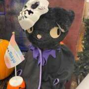 ヒメ日記 2025/10/03 16:41 投稿 ひなた 秋葉原コスプレ学園(AKG)