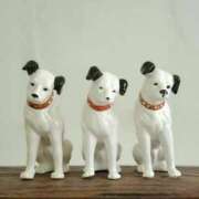 ひなた イヤホン何使ってる？ 秋葉原コスプレ学園(AKG)