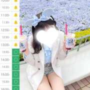 ヒメ日記 2025/08/24 09:38 投稿 ヒナタ ソープランド マックス