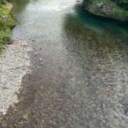 ヒメ日記 2025/06/16 08:36 投稿 さき エディーズ