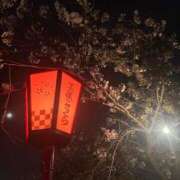 ヒメ日記 2025/07/08 18:08 投稿 さき エディーズ