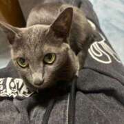 ヒメ日記 2025/09/17 07:19 投稿 さき エディーズ