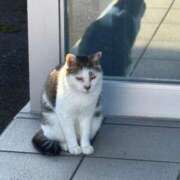 ヒメ日記 2025/10/13 12:26 投稿 さき エディーズ