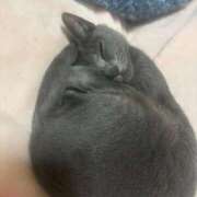 さき ごめんなさい🙏 エディーズ