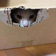 さき こんばんは🌛 エディーズ