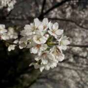 ヒメ日記 2026/04/11 18:31 投稿 さき エディーズ