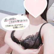 ヒメ日記 2025/12/29 08:55 投稿 『うた』 ESSENCE