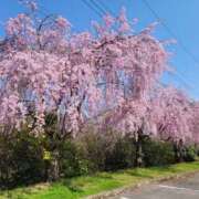 ヒメ日記 2026/03/28 15:01 投稿 永作りな 宇都宮CLUB