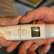 ヒメ日記 2025/11/13 13:06 投稿 春うらら Beppin house