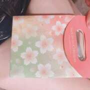 ヒメ日記 2026/02/22 18:01 投稿 春うらら Beppin house