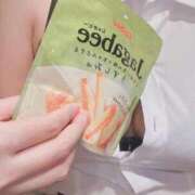 ヒメ日記 2026/02/28 00:10 投稿 春うらら Beppin house