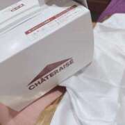 ヒメ日記 2026/03/24 17:50 投稿 春うらら Beppin house