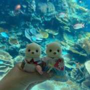 しいな 明日17:30🩵ྀི チェックイン素人専門大人女子