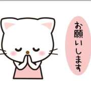 ヒメ日記 2026/06/11 11:06 投稿 ララ ソープランド マックス