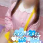 ヒメ日記 2025/06/19 08:05 投稿 ねね【業界未経験】 茨城水戸ちゃんこ