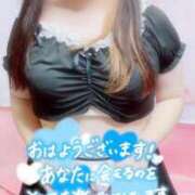 ヒメ日記 2025/07/05 07:15 投稿 ねね【業界未経験】 茨城水戸ちゃんこ