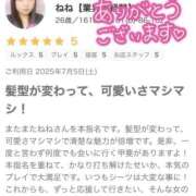 ヒメ日記 2025/07/09 23:15 投稿 ねね【業界未経験】 茨城水戸ちゃんこ