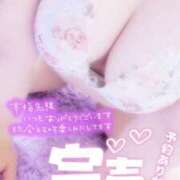 ヒメ日記 2025/07/14 03:05 投稿 ねね【業界未経験】 茨城水戸ちゃんこ