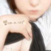 ヒメ日記 2025/07/27 17:55 投稿 ねね【業界未経験】 茨城水戸ちゃんこ