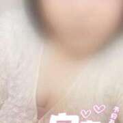 ヒメ日記 2025/07/30 02:25 投稿 ねね【業界未経験】 茨城水戸ちゃんこ