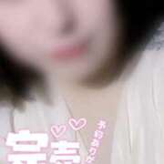 ヒメ日記 2025/08/25 12:50 投稿 ねね【業界未経験】 茨城水戸ちゃんこ