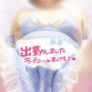 ヒメ日記 2025/09/14 11:35 投稿 ねね【業界未経験】 茨城水戸ちゃんこ