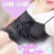 ヒメ日記 2025/09/30 11:45 投稿 ねね【業界未経験】 茨城水戸ちゃんこ