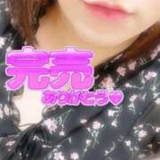 ヒメ日記 2025/10/02 03:25 投稿 ねね【業界未経験】 茨城水戸ちゃんこ