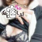 ヒメ日記 2025/11/05 12:24 投稿 ねね【業界未経験】 茨城水戸ちゃんこ