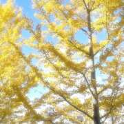 ヒメ日記 2025/11/10 13:15 投稿 ねね【業界未経験】 茨城水戸ちゃんこ