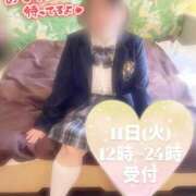 ヒメ日記 2025/11/11 00:05 投稿 ねね【業界未経験】 茨城水戸ちゃんこ