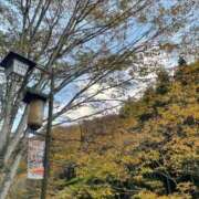 ヒメ日記 2025/11/25 06:25 投稿 ねね【業界未経験】 茨城水戸ちゃんこ