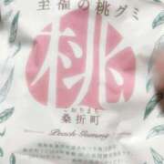 ヒメ日記 2025/11/26 14:05 投稿 ねね【業界未経験】 茨城水戸ちゃんこ