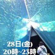 ヒメ日記 2025/11/27 00:15 投稿 ねね【業界未経験】 茨城水戸ちゃんこ