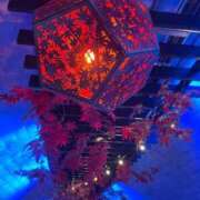 ヒメ日記 2025/12/05 07:15 投稿 ねね【業界未経験】 茨城水戸ちゃんこ