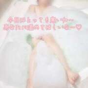 ねね【業界未経験】 ねぇねぇ❣️ 茨城水戸ちゃんこ